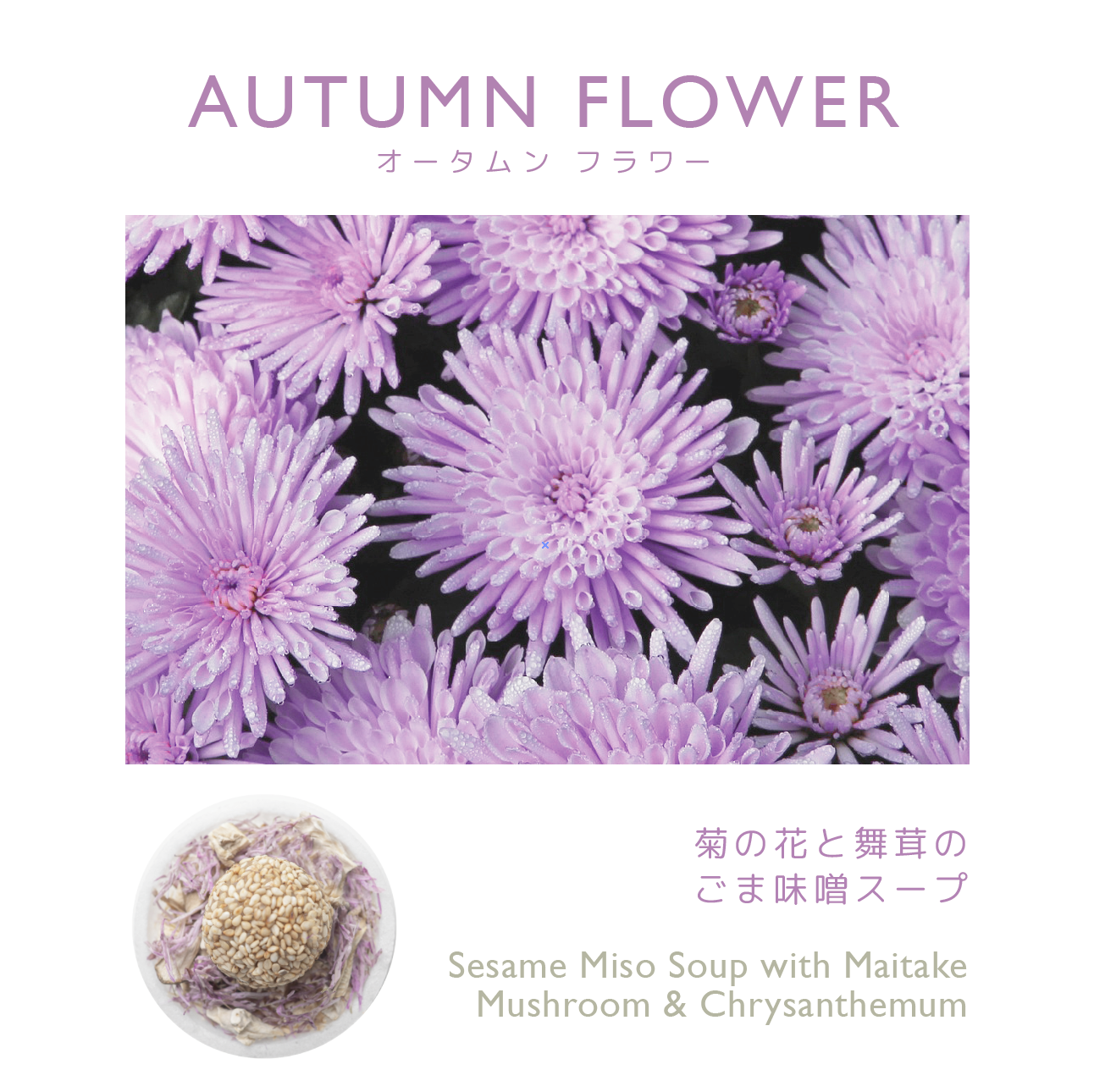 【単品スープキット】AUTUMN FLOWER