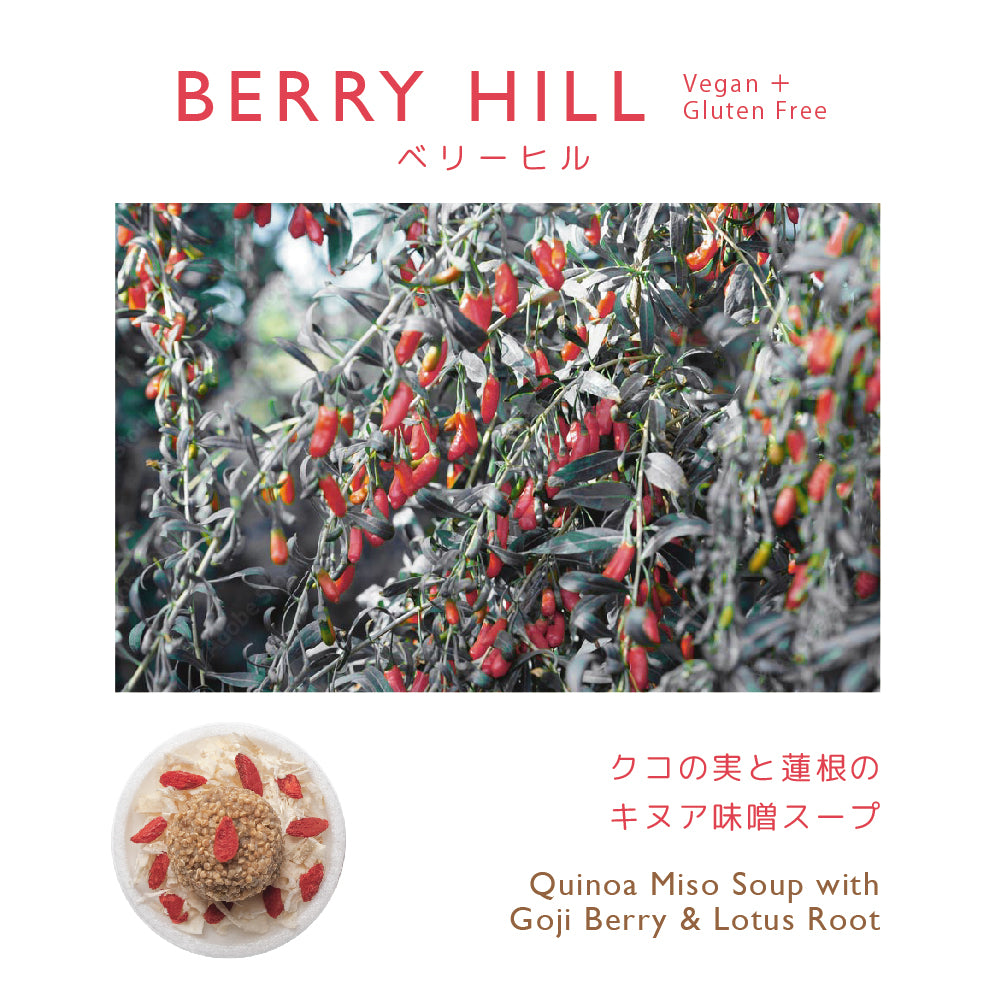 【 単品スープキット 】BERRY HILL
