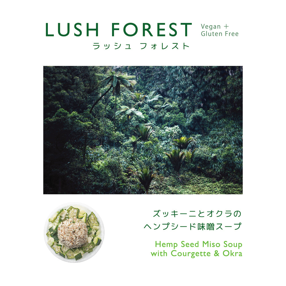 【 単品スープキット 】LUSH FOREST