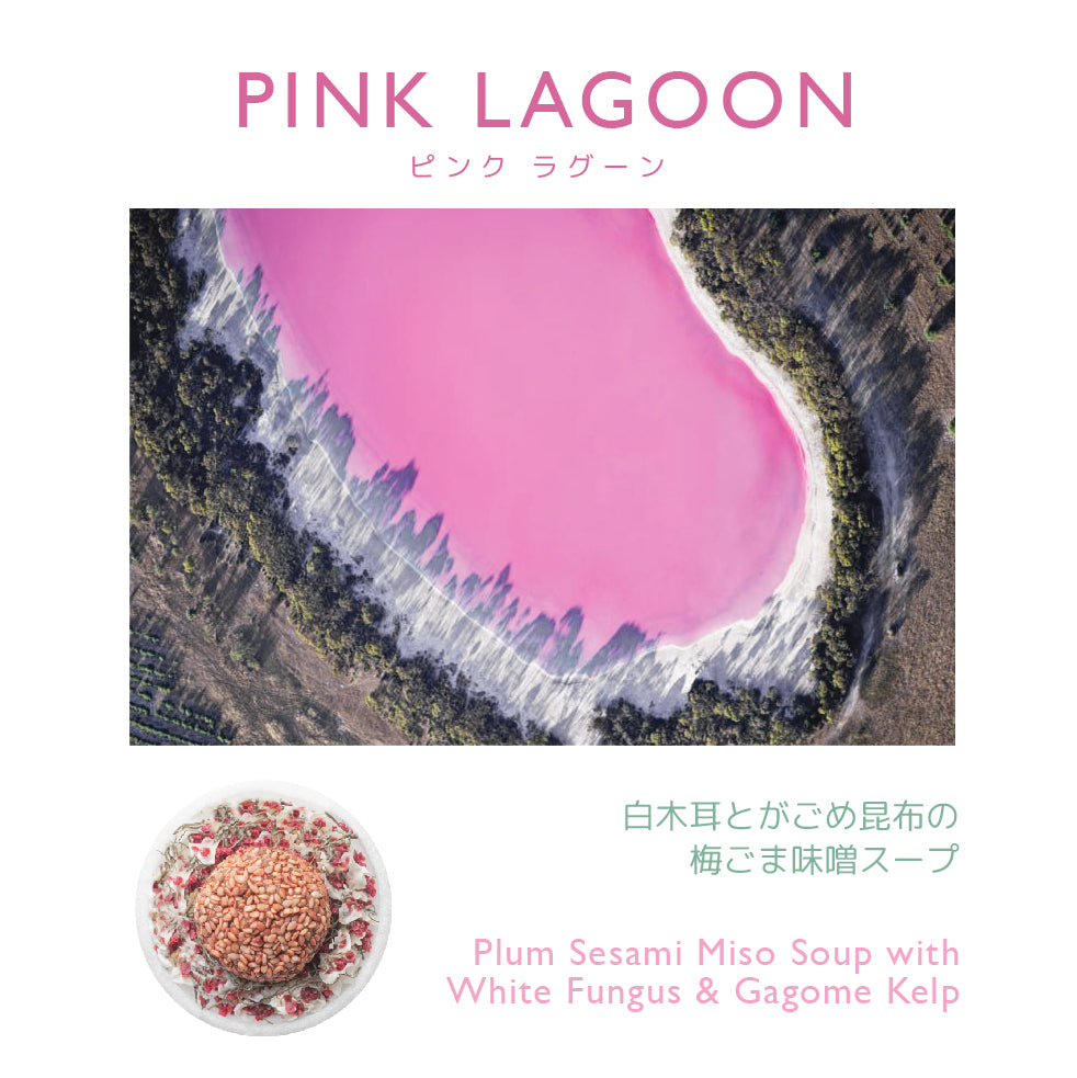 【 単品スープキット 】PINK LAGOON