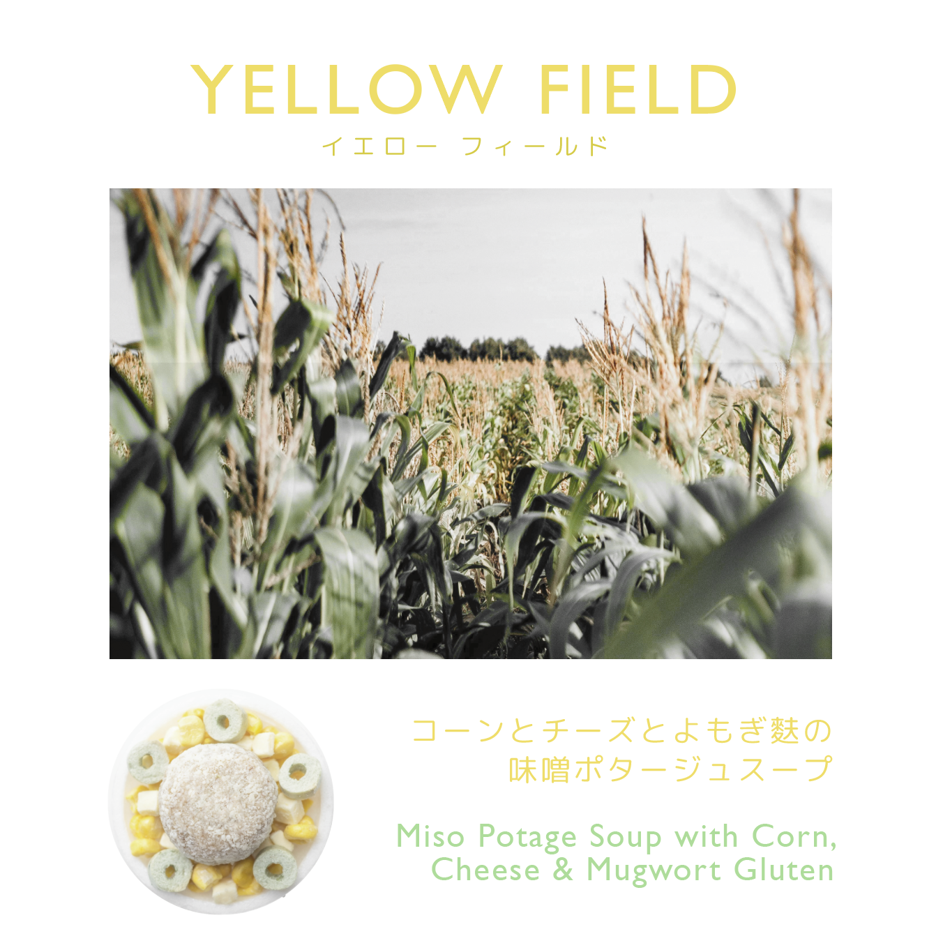 【 単品スープキット 】YELLOW FIELD