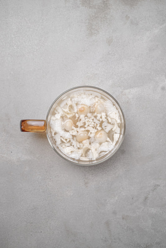 【 単品スープキット 】WINTER SNOW